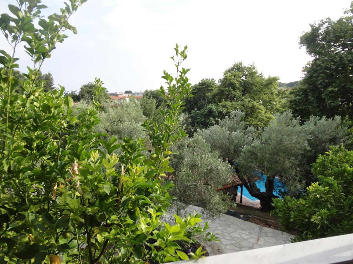 Makis House Hotel Nikiti  Exterior foto
