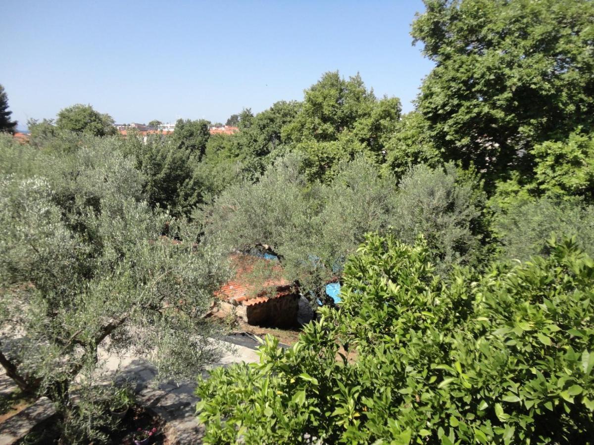 Makis House Hotel Nikiti  Exterior foto